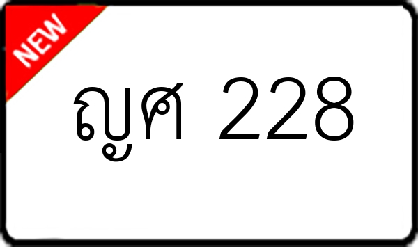 ญศ 228